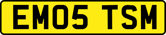 EM05TSM