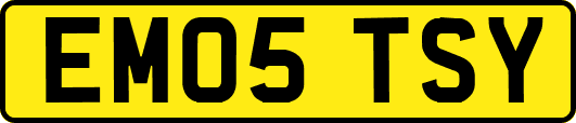 EM05TSY