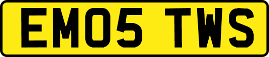 EM05TWS