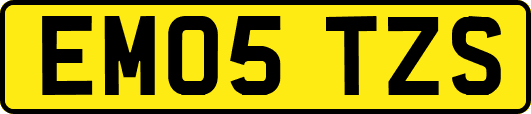 EM05TZS