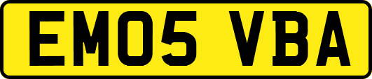 EM05VBA
