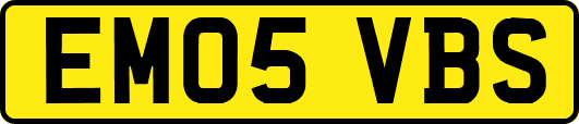 EM05VBS