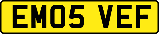 EM05VEF