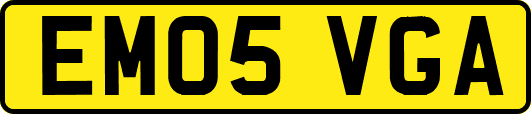 EM05VGA