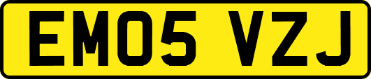 EM05VZJ