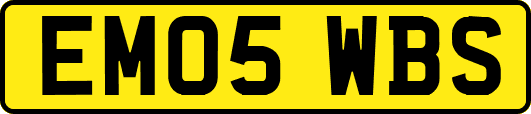 EM05WBS