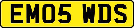 EM05WDS