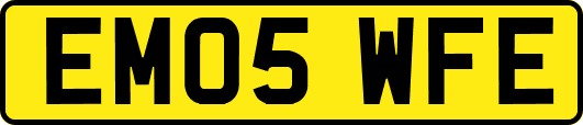 EM05WFE
