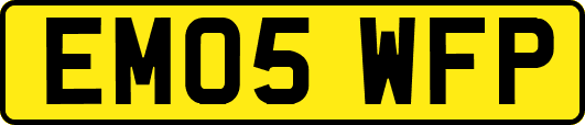 EM05WFP