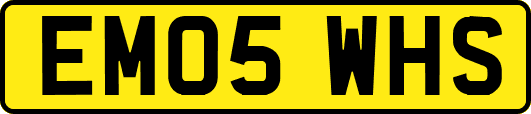 EM05WHS