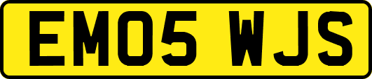 EM05WJS