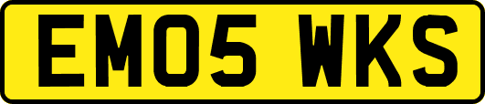 EM05WKS