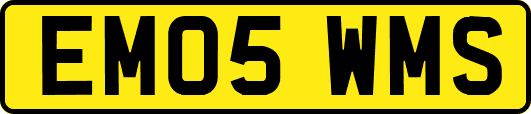 EM05WMS