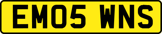 EM05WNS