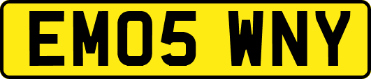 EM05WNY