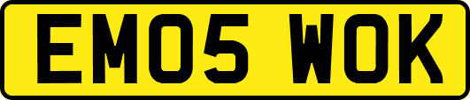 EM05WOK
