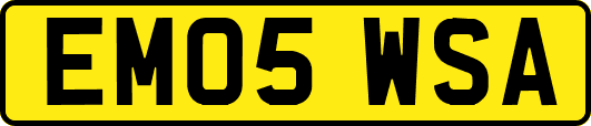 EM05WSA