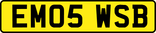 EM05WSB