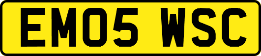 EM05WSC