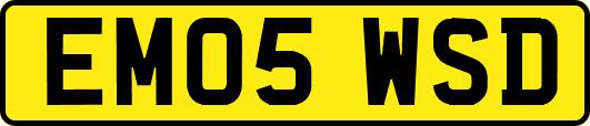 EM05WSD