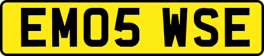 EM05WSE