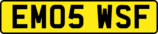 EM05WSF