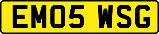 EM05WSG