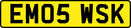 EM05WSK