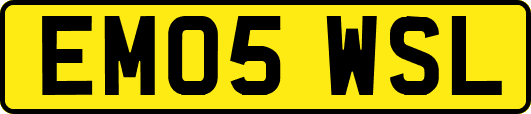 EM05WSL