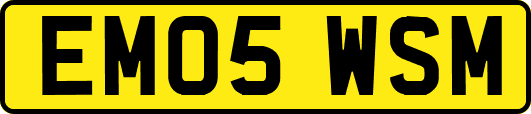 EM05WSM