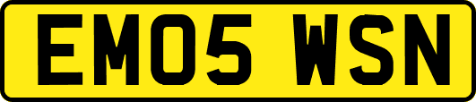 EM05WSN