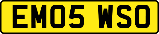 EM05WSO