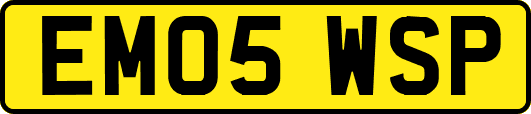 EM05WSP