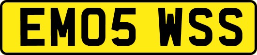 EM05WSS