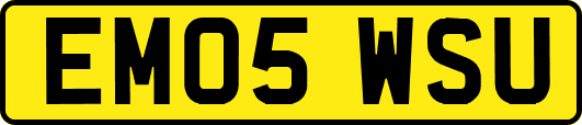 EM05WSU