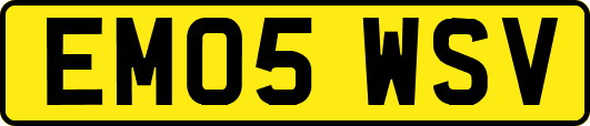 EM05WSV