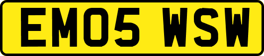EM05WSW