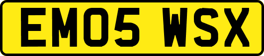 EM05WSX