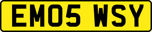 EM05WSY