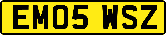 EM05WSZ