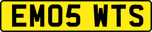 EM05WTS