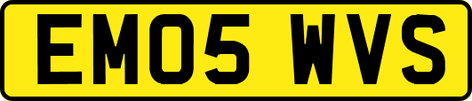 EM05WVS