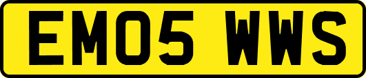 EM05WWS