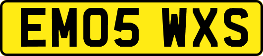 EM05WXS