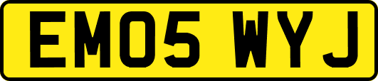 EM05WYJ