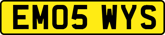 EM05WYS