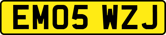 EM05WZJ