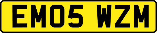 EM05WZM
