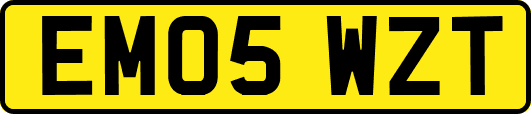 EM05WZT