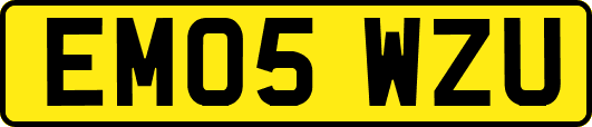 EM05WZU